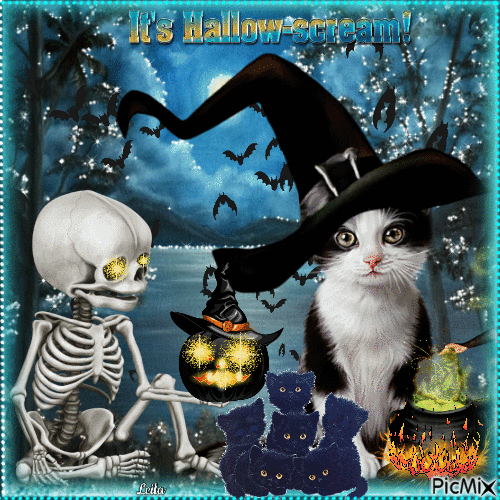 Halloween. Cat witch. Night - Animovaný GIF zadarmo