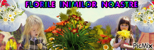Florile  inimilor noastre - 無料のアニメーション GIF
