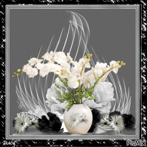 flowers white - GIF animé gratuit