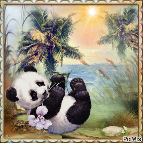 Panda sous les tropiques - Contest - PNG gratuit