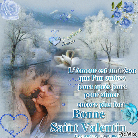 saint valentin - Nemokamas animacinis gif