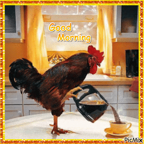 Good Morning rooster - GIF เคลื่อนไหวฟรี