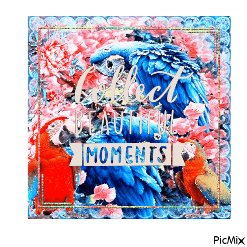 Collect Beautiful Moments - Free animated GIF
