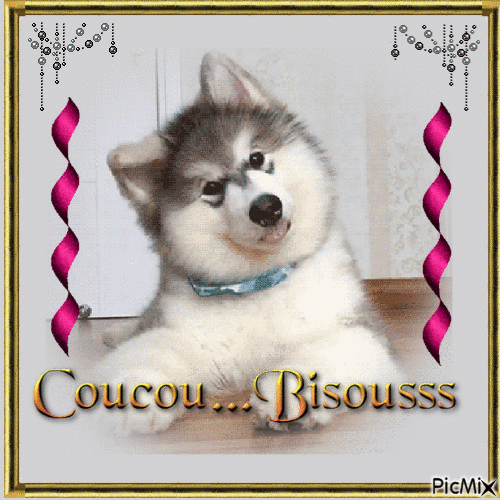 coucou bisou - 無料のアニメーション GIF