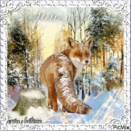 Animal de la forêt en hiver