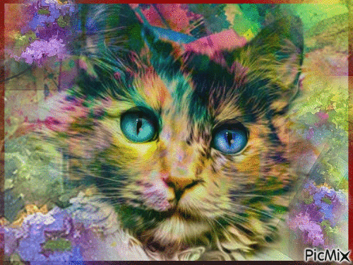 Painting cat - GIF animé gratuit