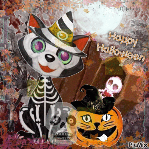 Witch cat-contest - Free animated GIF