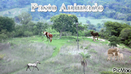 Pasto Animado - GIF เคลื่อนไหวฟรี