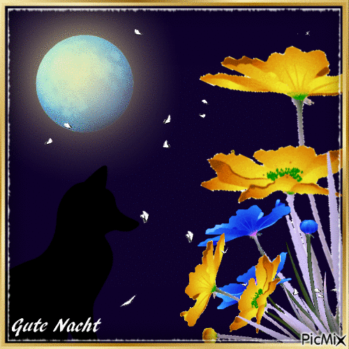 Gute Nacht - Gratis geanimeerde GIF