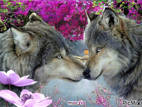 lupi e fiori - 免费动画 GIF