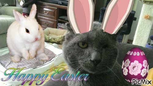 EASTER NORRY - png gratis