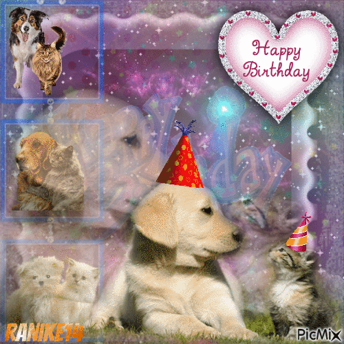 Happy birthday cat dog 10/1 - Free animated GIF - PicMix