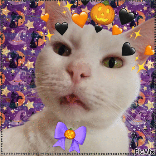 Ollie October - Free animated GIF