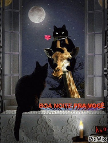 boa noite - Ücretsiz animasyonlu GIF