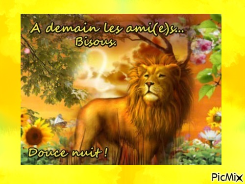 Le lion - фрее пнг