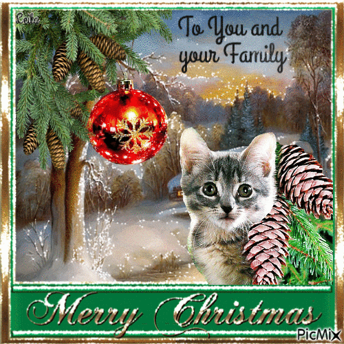 To You and your Family, Merry Christmas - Animovaný GIF zadarmo