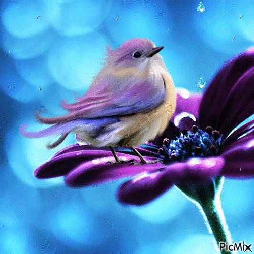 Purple bird and flower - GIF animate gratis