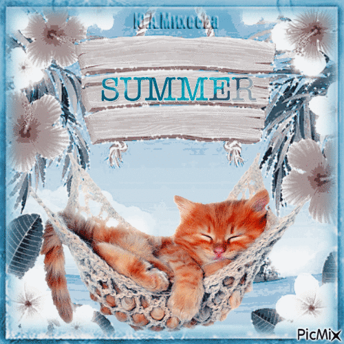 summer - Bezmaksas animēts GIF