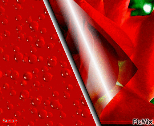 Rosa roja - Безплатен анимиран GIF