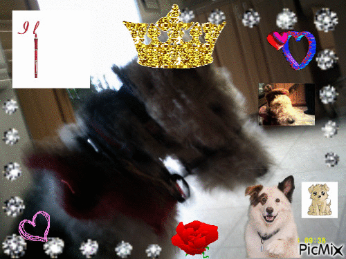 J'aime les chiens - Animovaný GIF zadarmo