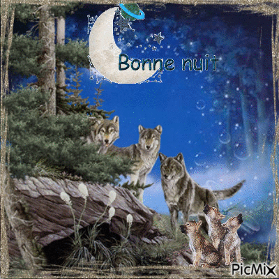 la nuit des loups - 無料のアニメーション GIF