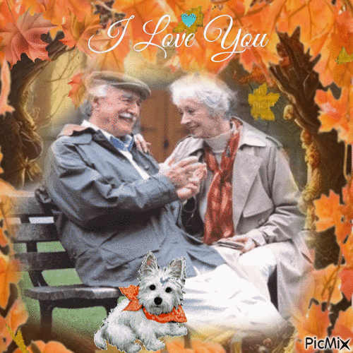 Concours : Vieux couple dans un paysage d'automne - Ingyenes animált GIF