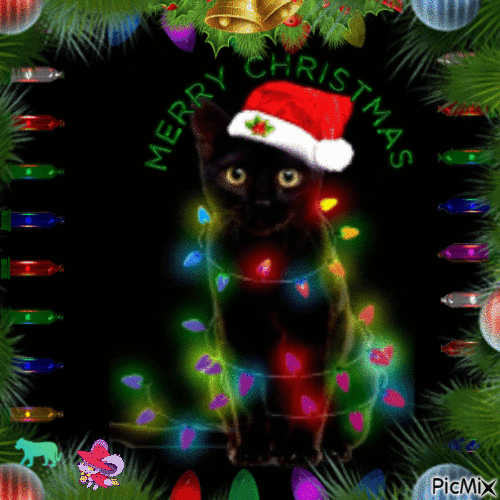Fairy lights Kitty - GIF animado gratis