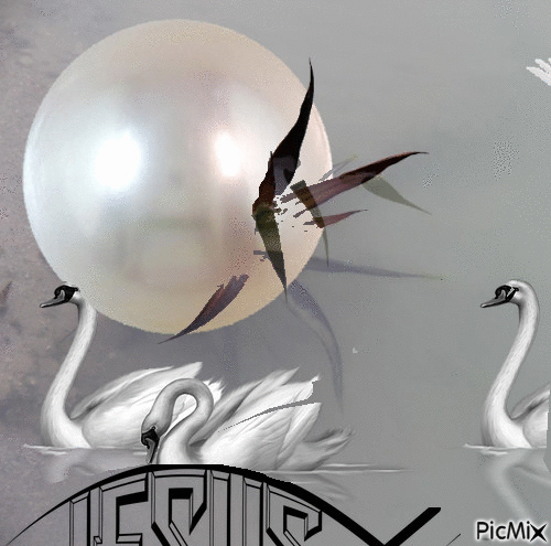 Luna de perla - GIF animado grátis