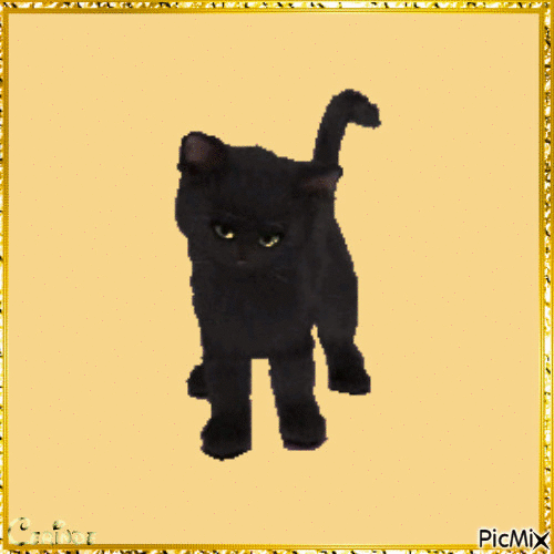 My black cat - GIF animasi gratis