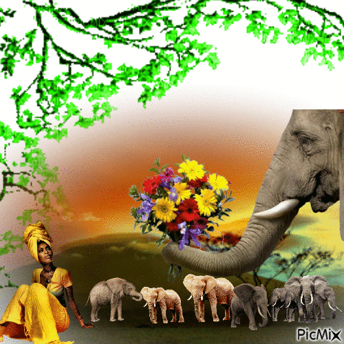 la plaine des éléphant - Безплатен анимиран GIF