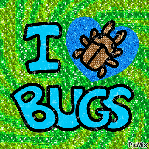 i love bugs !!! - Bezmaksas animēts GIF