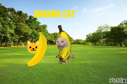 Banana cat - Animovaný GIF zadarmo