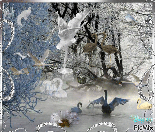 Iarna pe lac - GIF animé gratuit