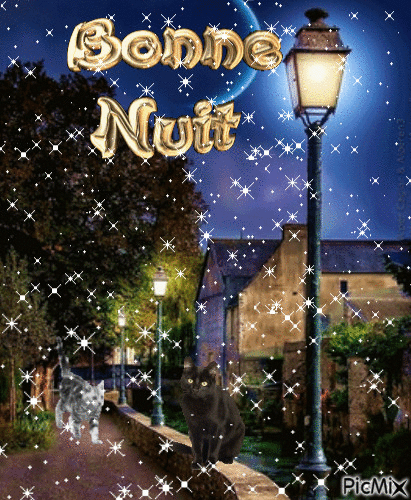 Bonne nuit - Бесплатни анимирани ГИФ