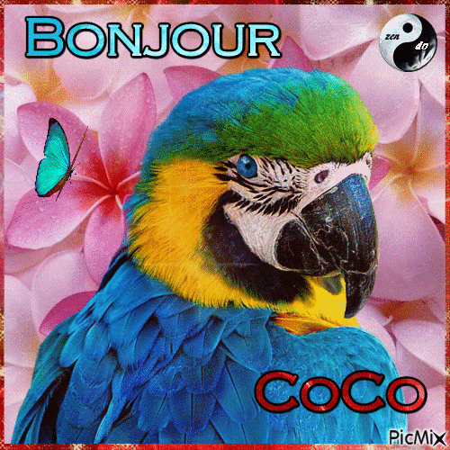 Bonjour CoCo - Бесплатный анимированный гифка