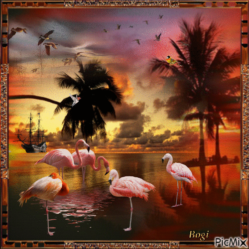 Island of flamingos... - Gratis animeret GIF