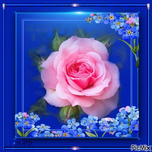 Cette rose elle est pour vous - Безплатен анимиран GIF