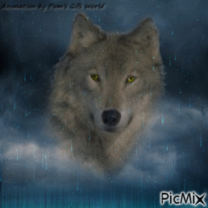 Brown Wolf in Blue Meteor Shower - Gratis animeret GIF