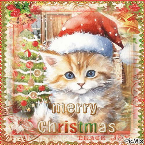 Christmas cat - Бесплатный анимированный гифка