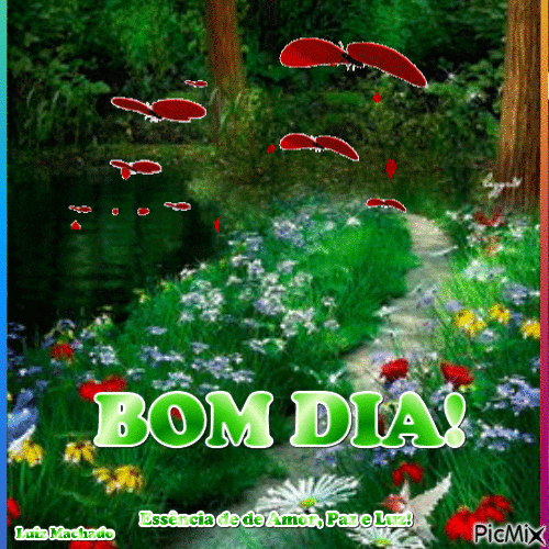 Bom Dia! - 無料のアニメーション GIF