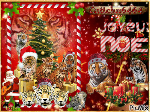 Joyeux Noël Caticha6464 - Free animated GIF