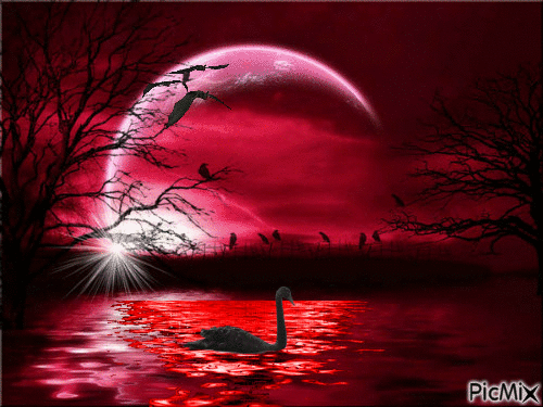 red moon - Free animated GIF