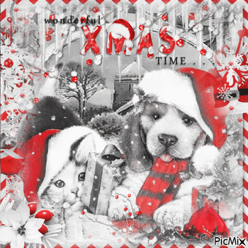 ...Christmas /dog/cat