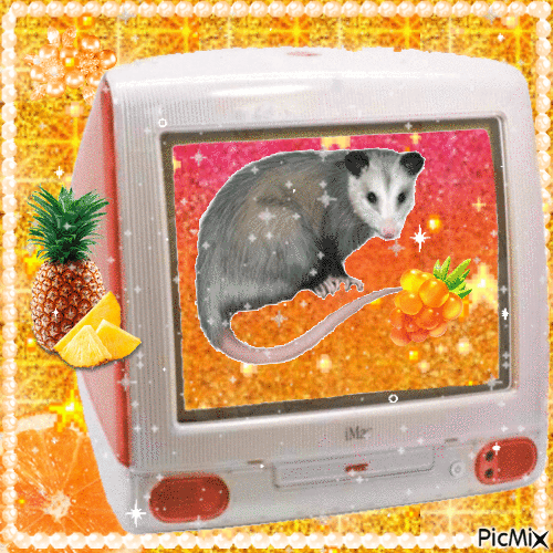 Possum ‘puter - Gratis animerad GIF