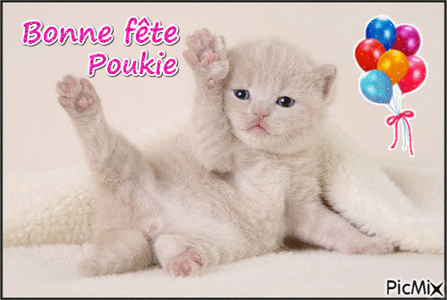 Bonne fête Poukie - GIF animé gratuit