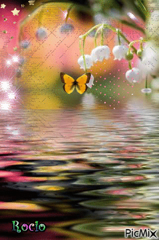 Mariposa en el agua - Gratis animeret GIF