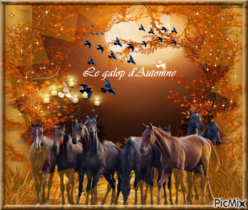 Le galop d'automne - Free animated GIF