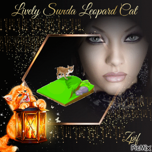 Lively Sunda leopard cat - GIF animé gratuit