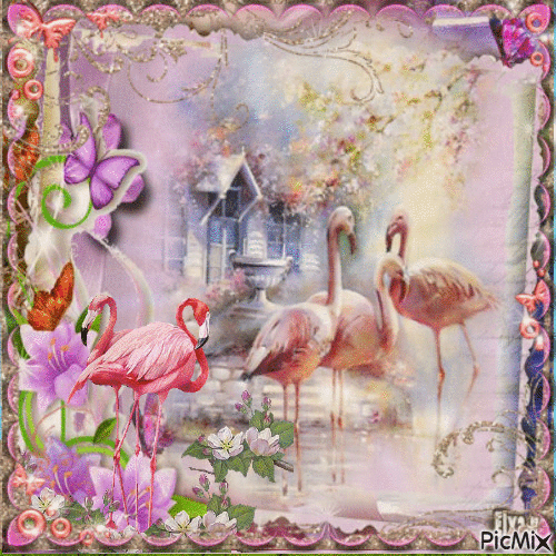 Flamingo - GIF animado grátis