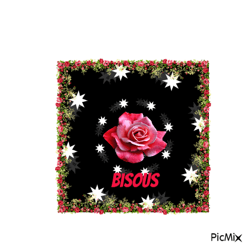 bisous rose - Zdarma animovaný GIF